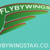 Flyby Wings Taxi